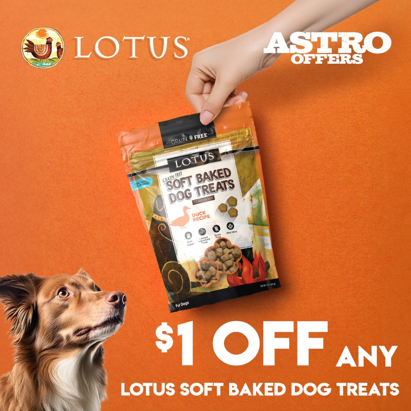 lotus_treat_sale